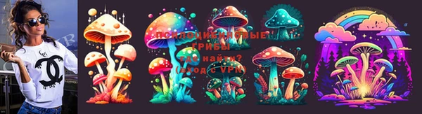 твердый Алексин