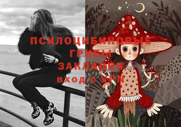 твердый Алексин